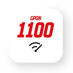 DSL Oja 1100 Gpon